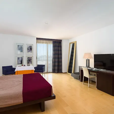 Grand Tiziano E Dei Congressi Hotel